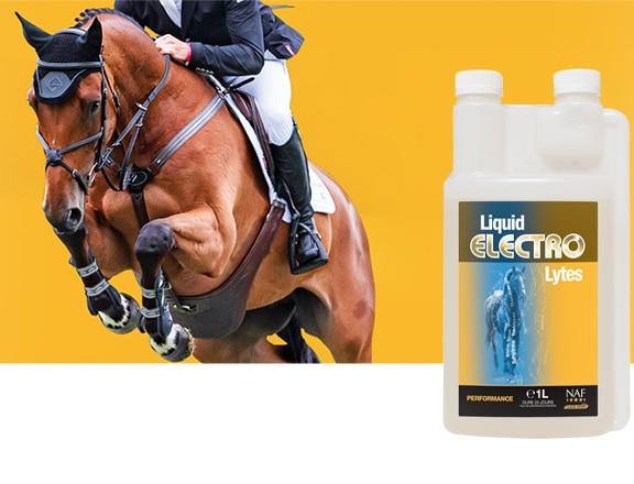 NAF Electro Lytes - SHOPHORSE